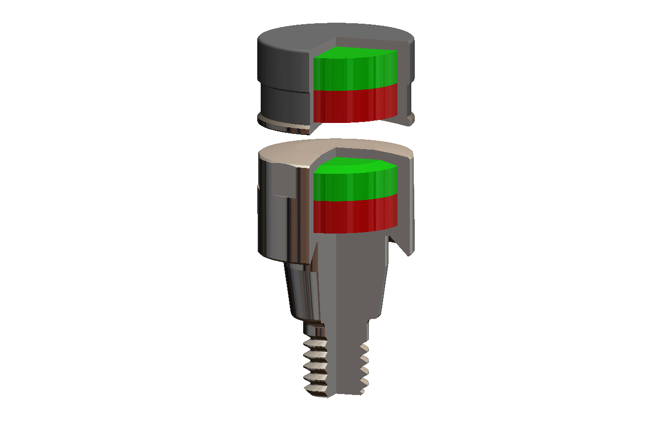 Magnetic dentures – Steco